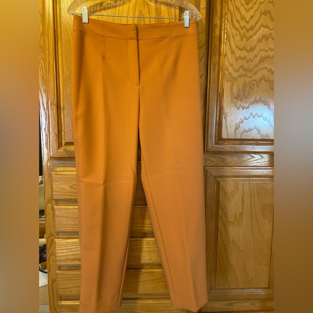 Ann Taylor dress pants